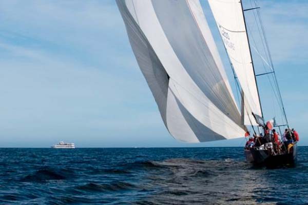 Recorrido en barco con fondo de cristal vip en Los Cabos