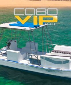 rent a yacht in los cabos