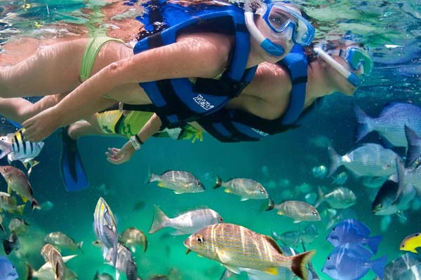 buceo y snorkel