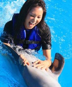 Paquete 2 Delfines Vip