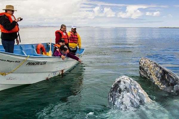 Eco turismo vip en Los Cabos