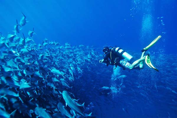 Eco turismo vip en Los Cabos