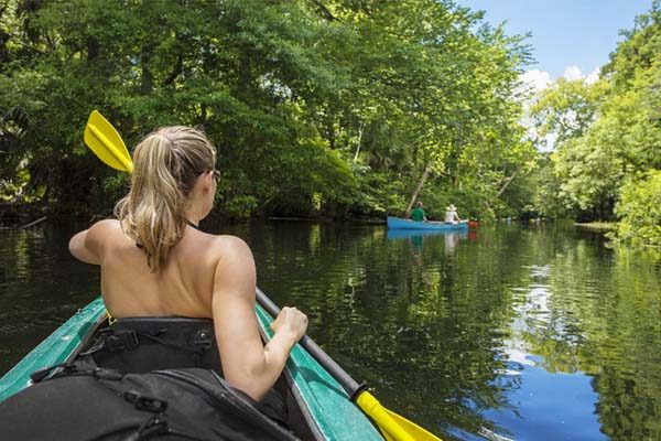Eco turismo vip en Los Cabos