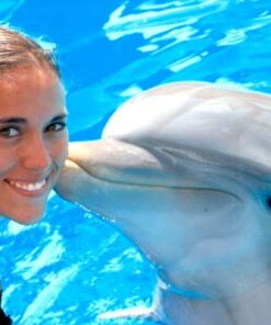 paquete 3 delfines vip