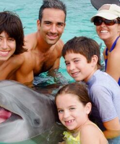 paquete 5 todo el dia con delfines