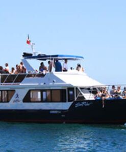 tour esnorquel en los cabos