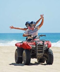 tour migrino en los cabos