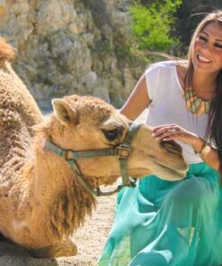 tour safari en camello