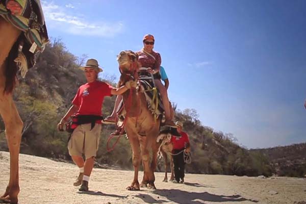 tour safari en camello