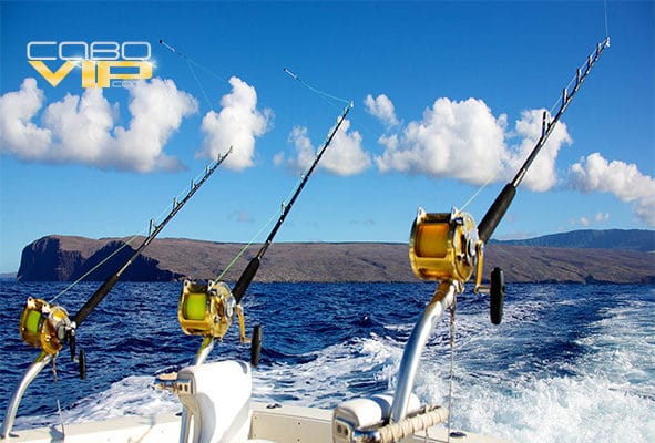 Botes para pescar en Los Cabos