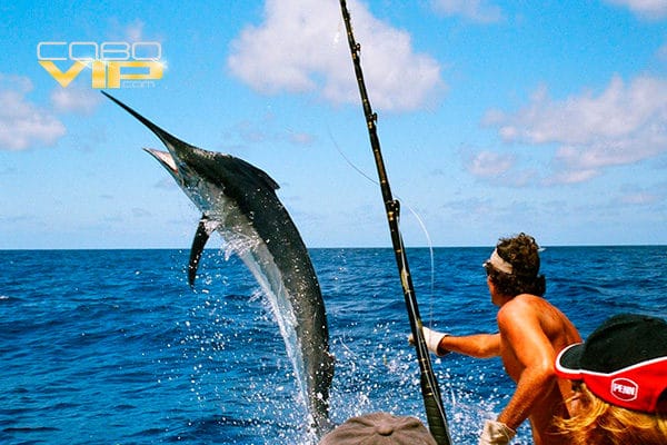 Botes para Pesca Deportiva en Los Cabos