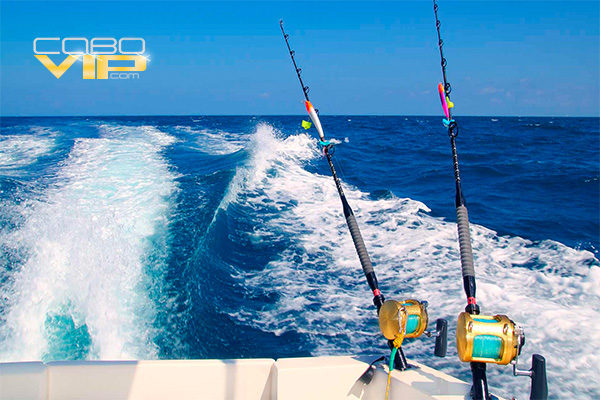 Yates para Pesca Deportiva en Los Cabos