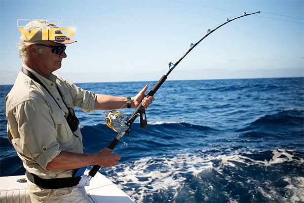 Yates para Pesca Deportiva en Los Cabos