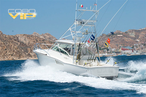 Modernos Yates para ir de Pesca en Los Cabos