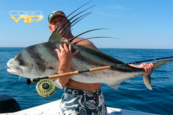 Pesca en Los Cabos abordo de Yate de Lujo