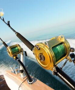 Yate para Pesca Deportiva en los Cabos en Renta