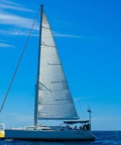 Barco velero moderno para pasear en Los Cabos 42