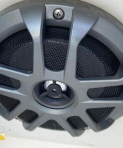 Bote para pasear en Los Cabos 34