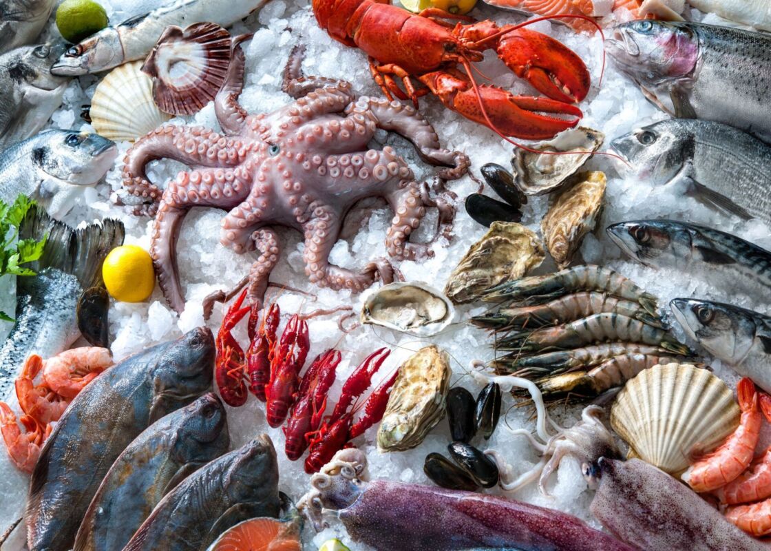 pescados y mariscos frescos en Los Cabos