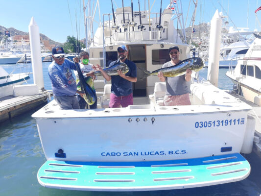 renta de yate Beltrán 34