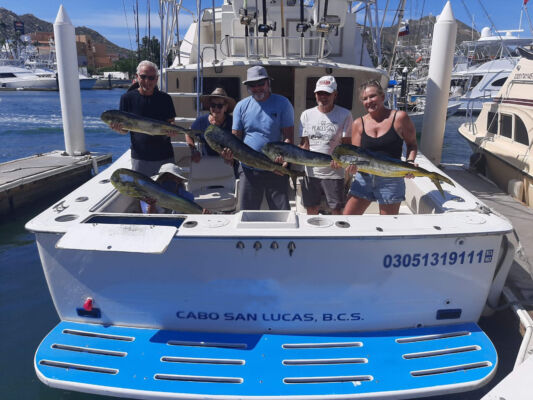 renta de yate Beltrán 34