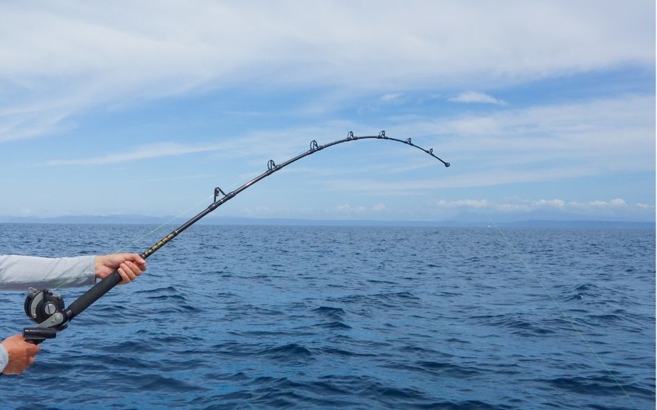 yates para pesca en Los Cabos