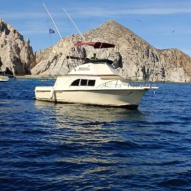 Renta de Yate para Pesca California 28