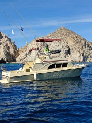 Renta de Yate para Pesca California 28