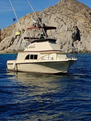 Renta de Yate para Pesca California 28