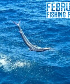 February Fishing Report