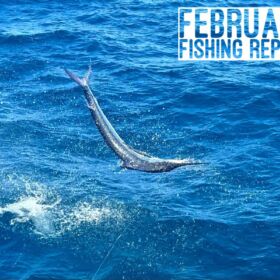 February Fishing Report