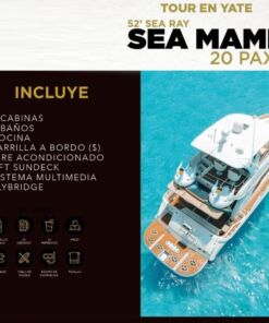 yacht-rentals-cancun-sea-ray-52-sea-mami-1